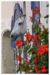 Patrimoine d'exception en  Haut Anjou